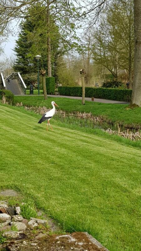 Farmhouse Lodge Giethoorn Luaran gambar
